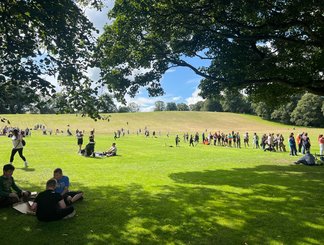 Summer Scheme